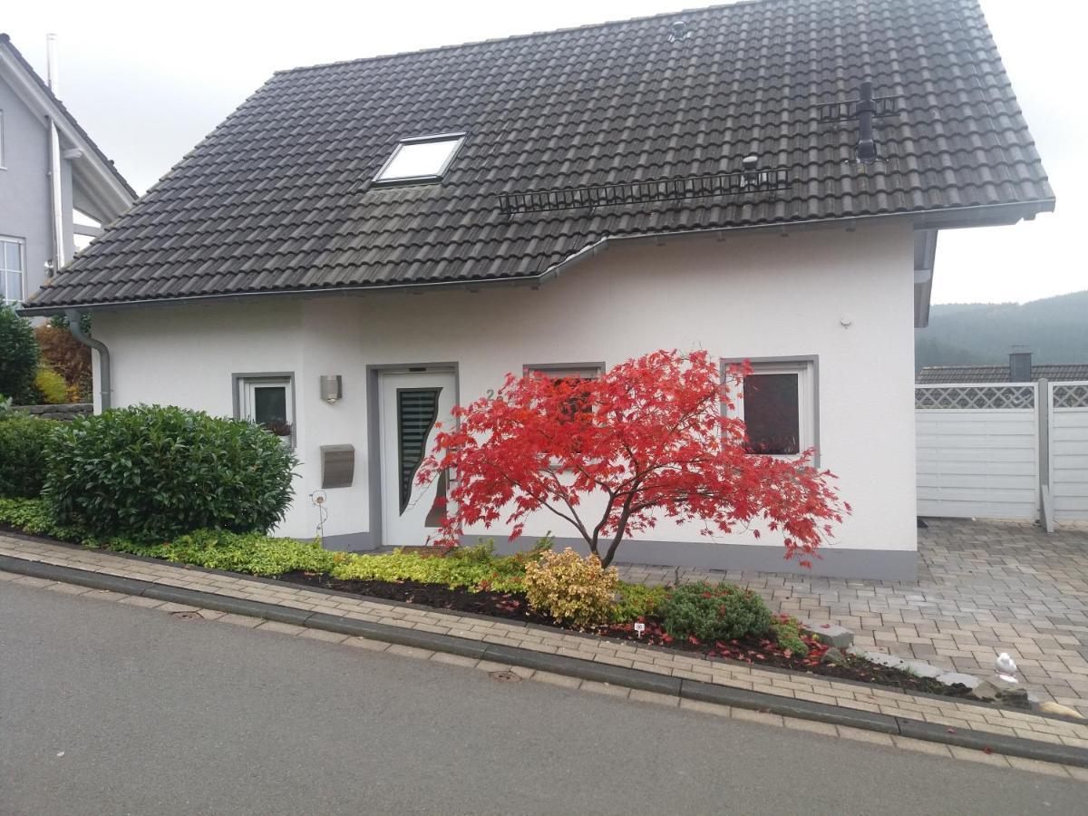 Schmidts 2Raumtraum Apartment Hilchenbach Ngoại thất bức ảnh